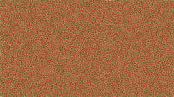 image: an image