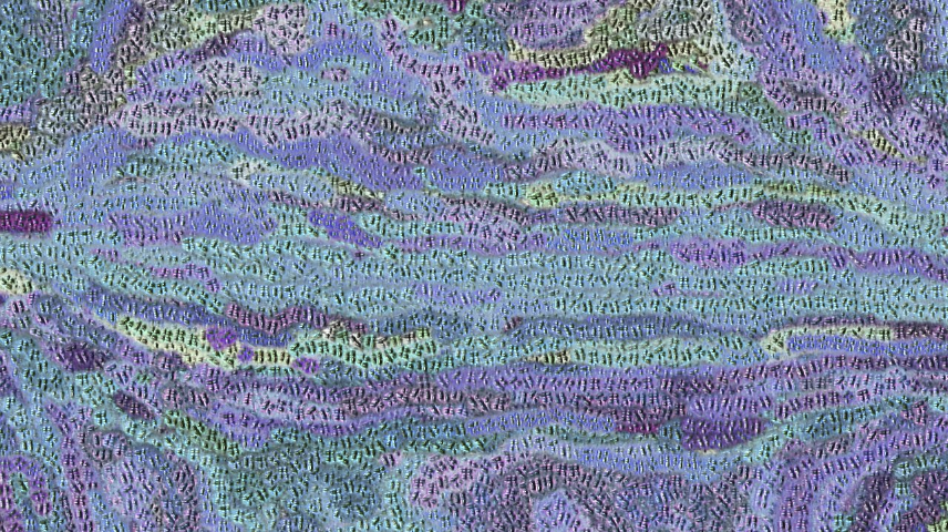 Image 'reflets — paint synthesiser classic — users chuck’s beta test 4 8'.