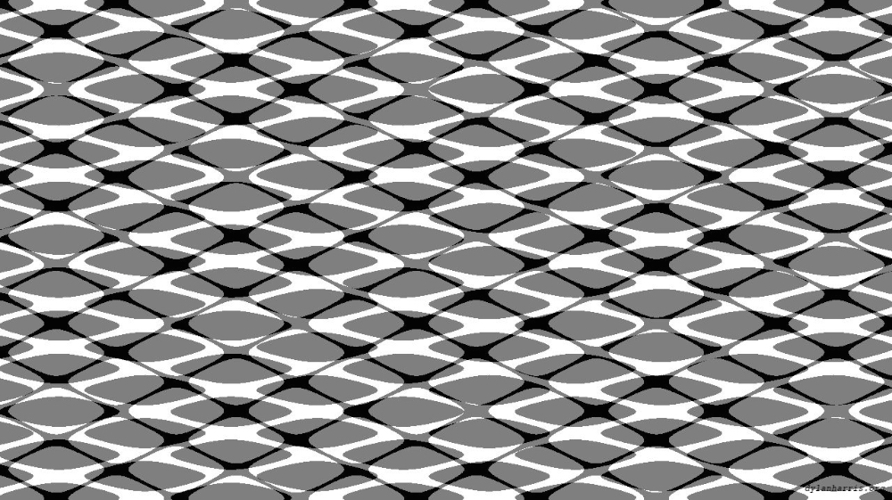 Image 'reflets — msg — users chaos 1 6'.