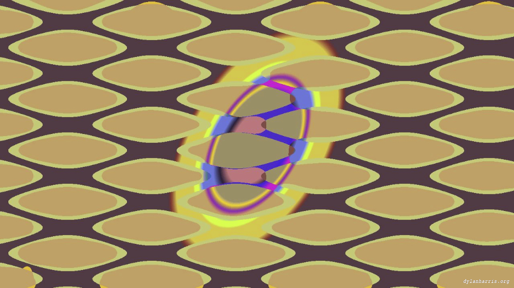 image: an image