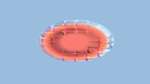 Fifth of 'reflets — msg — variations 1 circular 1'.