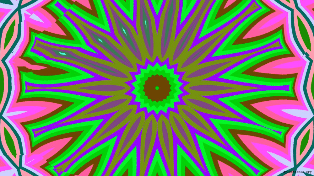 image: an image