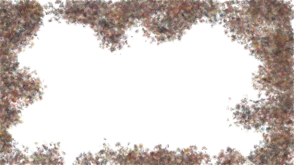 image: an image