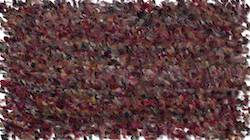 Fourth of 'reflets — paint synthesiser classic — 3.0 collection cloners 3 2'.