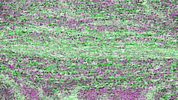 Third of 'reflets — paint synthesiser classic — 3.0 collection cloners 4 9'.