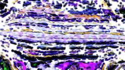 Seventh of 'reflets — paint synthesiser classic — 3.5 collection cloners 1'.