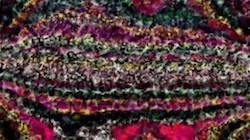 Seventh of 'reflets — paint synthesiser classic — 3.0 collection cloners::strokes 1'.