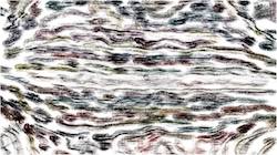 Third of 'reflets — paint synthesiser classic — users creative mac charcoal rubbing 1'.