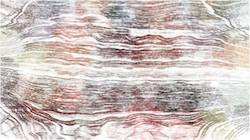 Sixth of 'reflets — paint synthesiser classic — users creative mac charcoal rubbing 1'.