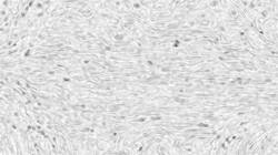 First of 'reflets — paint synthesiser classic — users creative mac washes 1'.