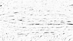 Fifth of 'reflets — paint synthesiser classic — users creative mac washes 1'.