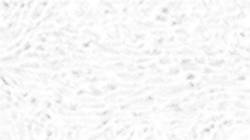 Fifth of 'reflets — paint synthesiser classic — users creative mac washes 2'.