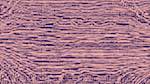 Fourth of 'reflets — msg — variations 2 c new 12'.