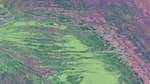 First of 'reflets — msg — variations 2 c new 14'.