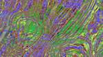 Sixth of 'reflets — msg — variations 2 c new 15'.