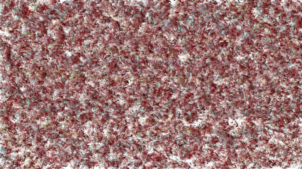 image: an image