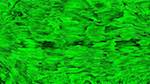 Fifth of 'reflets — texture synthesiser — default colourise'.