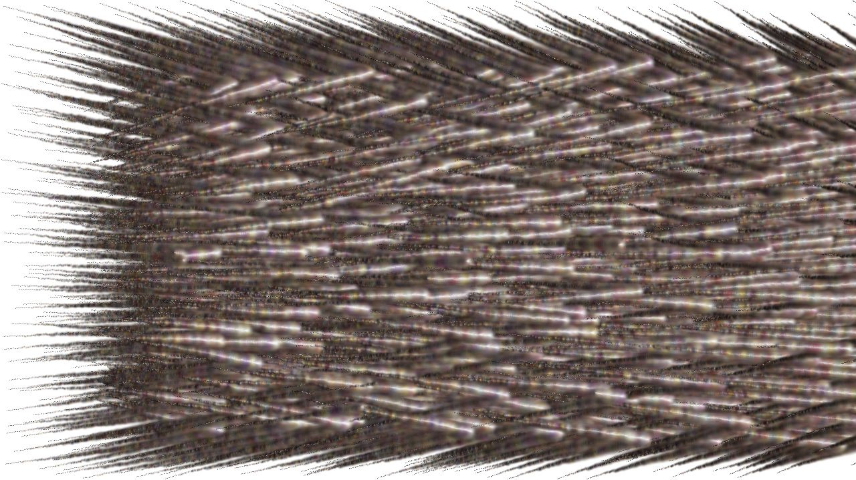 Image 'reflets — paint synthesiser classic — users chuck’s shooting stars 1 1'.