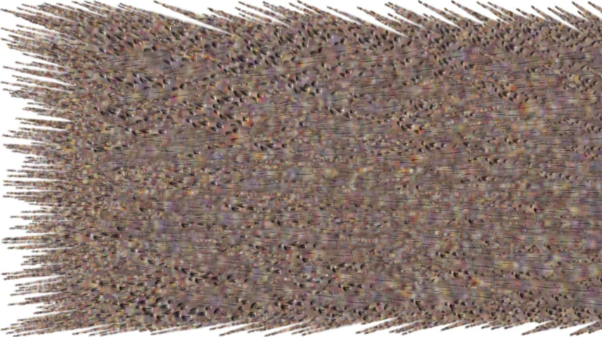Image 'reflets — paint synthesiser classic — users chuck’s shooting stars 1 2'.