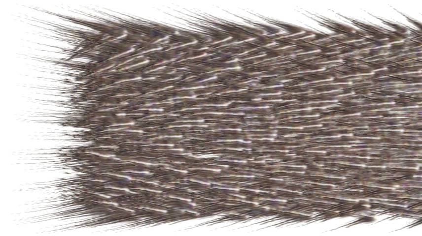Image 'reflets — paint synthesiser classic — users chuck’s shooting stars 3 3'.