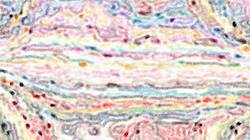Third of 'reflets — paint synthesiser classic — users dino favourites'.