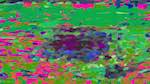 image: an image