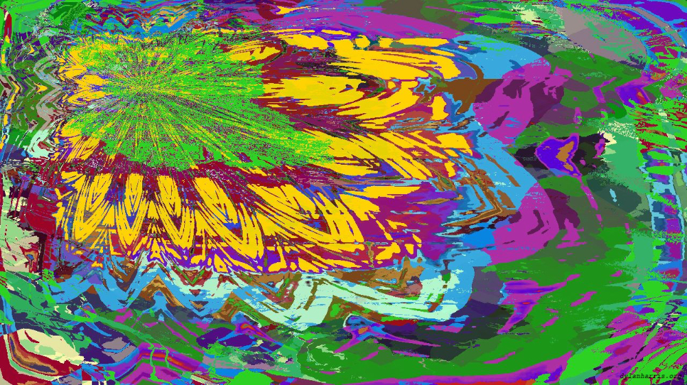 Image 'reflets — msg — variations 1 d–new 4 3'.