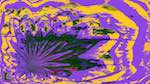 Second of 'reflets — msg — variations 1 d–new 4'.