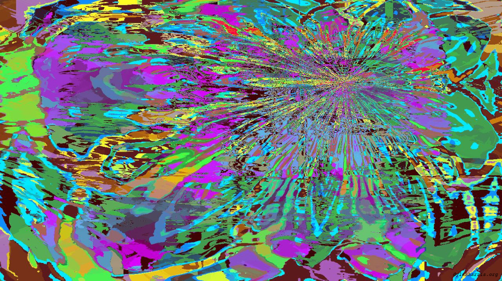 Image 'reflets — msg — variations 1 d–new 7 2'.