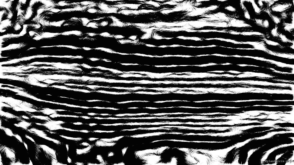 image: an image