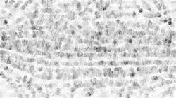 Third of 'reflets — paint synthesiser classic — 3.5 collection fizzy 2'.