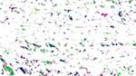Second of 'reflets — paint action sequence — generative animate process'.