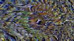 Fourth of 'reflets — texture synthesiser — default general 2'.
