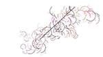 Sixth of 'reflets — paint action sequence — generative exp 1'.