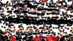 image: an image