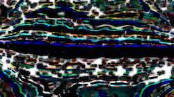 image: an image