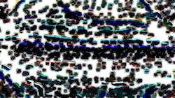 image: an image
