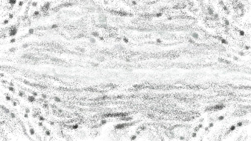 image: an image