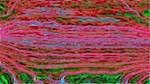 Sixth of 'reflets — msg — variations 0 head abstraction 1'.