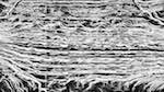 Second of 'reflets — msg — variations 0 head abstraction 2'.