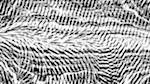 Fourth of 'reflets — msg — processing effects 0 head abstraction 4'.