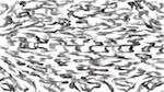 Second of 'reflets — paint synthesiser classic — users 1 hj maxset 29 2'.