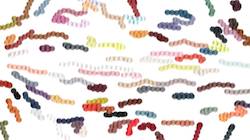 Sixth of 'reflets — paint synthesiser classic — 2.0 collection image brush 1'.