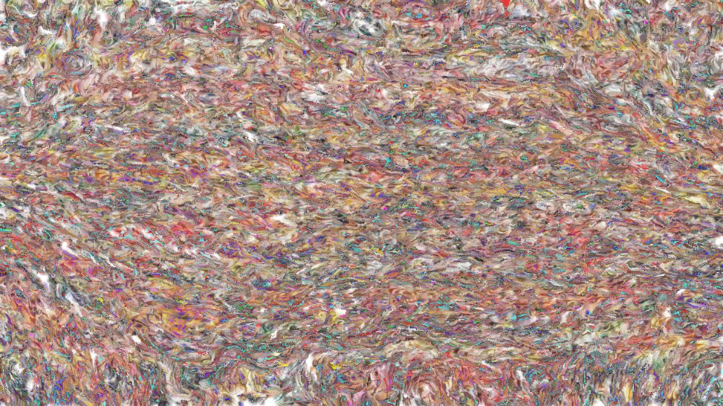 image: an image