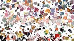 First of '4.0 B collection msg attractor ex 3'.