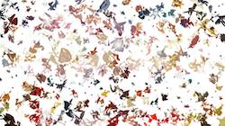 Fifth of '4.0 B collection msg attractor ex 3'.