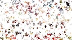 Seventh of '4.0 B collection msg attractor ex 3'.