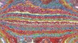 Seventh of '4.0 B collection msg attractor ex 5'.