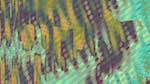 First of 'reflets — msg — variations 0 more msg 7'.