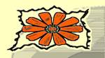Eighth of 'reflets — msg — variations 1 motif boxes 1'.